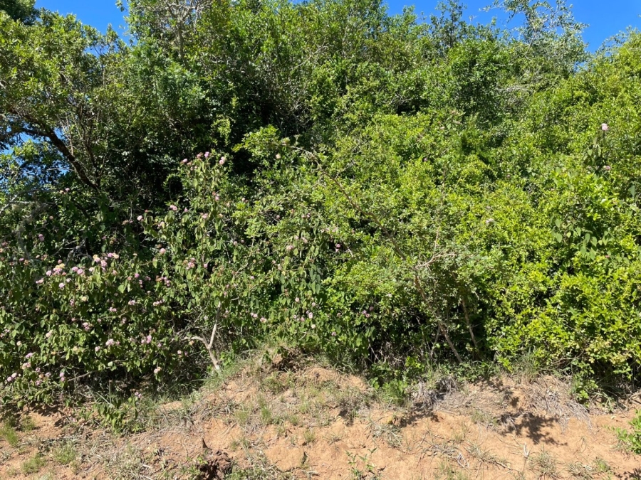0 Bedroom Property for Sale in Bathurst Eastern Cape